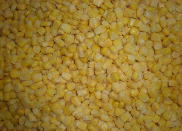 frozen sweet corn kernels cob whole cut maize grains supplier
