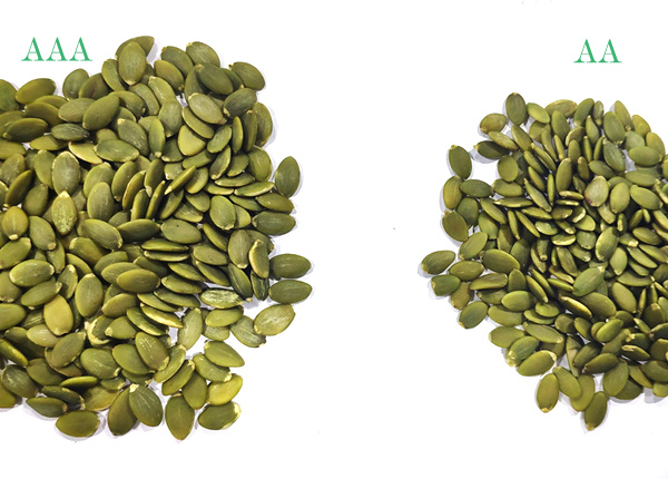 pumpkin seed kernels