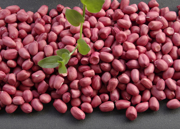 red skin organic peanut kernels