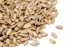 sunflower seed kernels