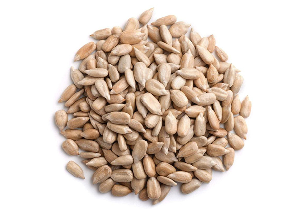sunflower seed kernels