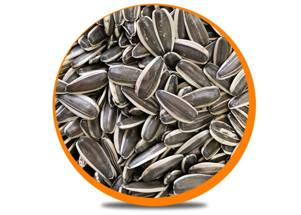 sunflower seeds