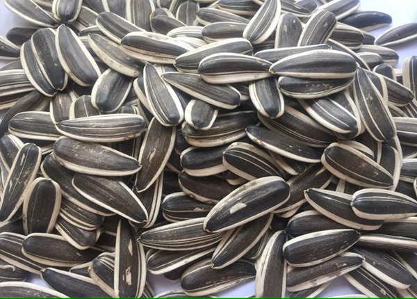 sunflower seeds