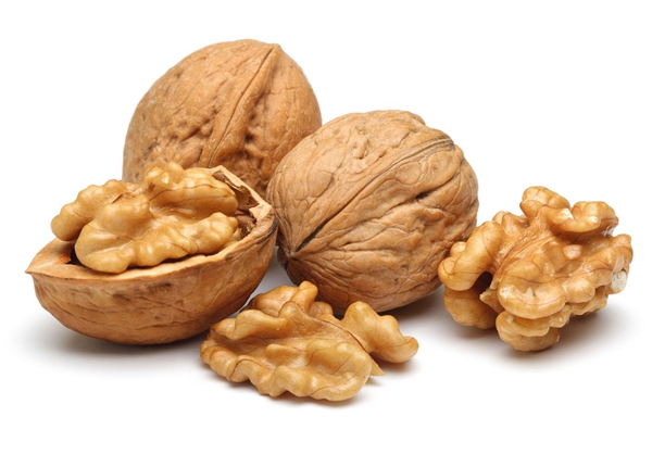 walnut inshell