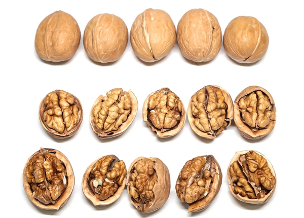walnut inshell