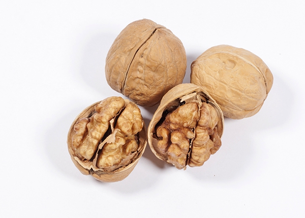 walnut inshell