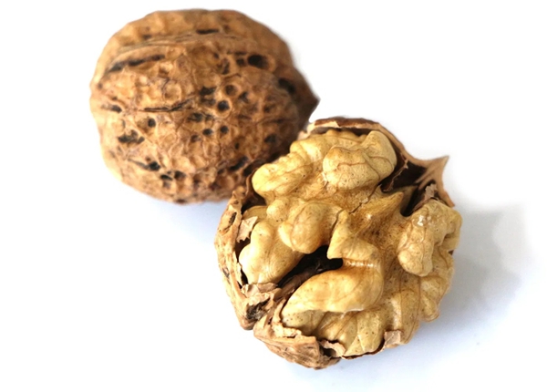 walnut inshell