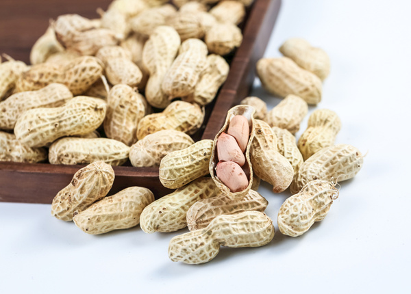 wholesale shelled peanuts in shell