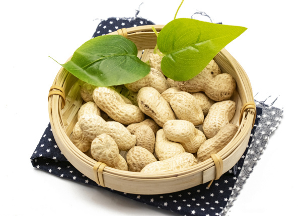 wholesale shelled peanuts in shell