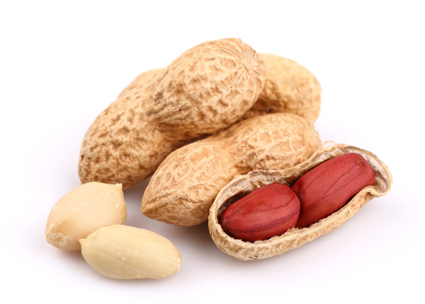 wholesale shelled peanuts in shell