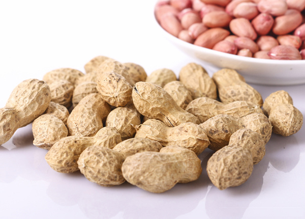 wholesale shelled peanuts in shell