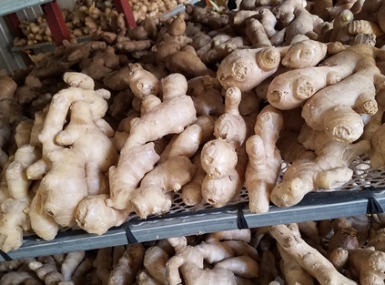 air-dried-ginger-250g,packaging,12.5kg,13kg,250g